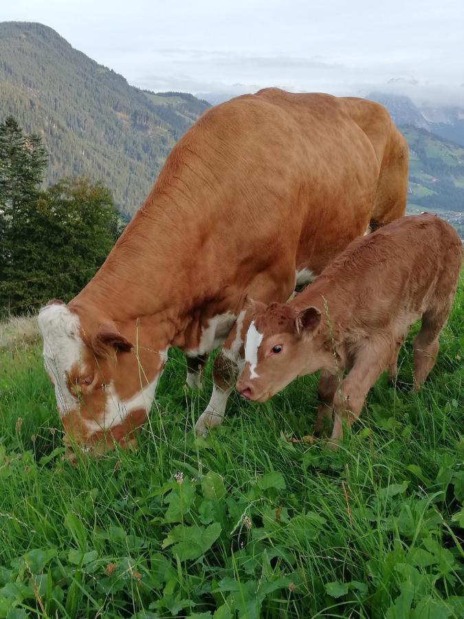Hahnenkammblick Vila Kitzbühel Exterior foto