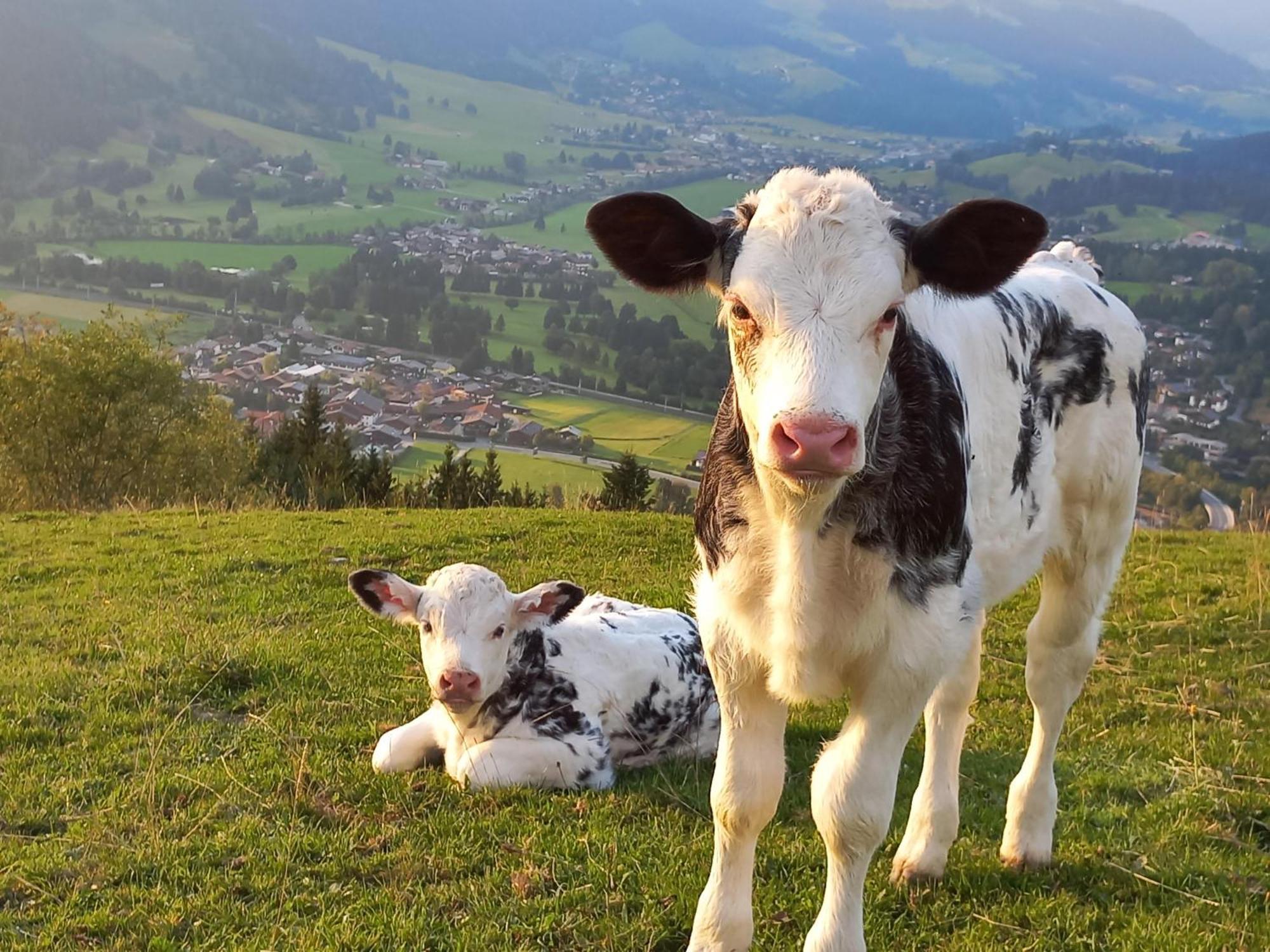 Hahnenkammblick Vila Kitzbühel Exterior foto