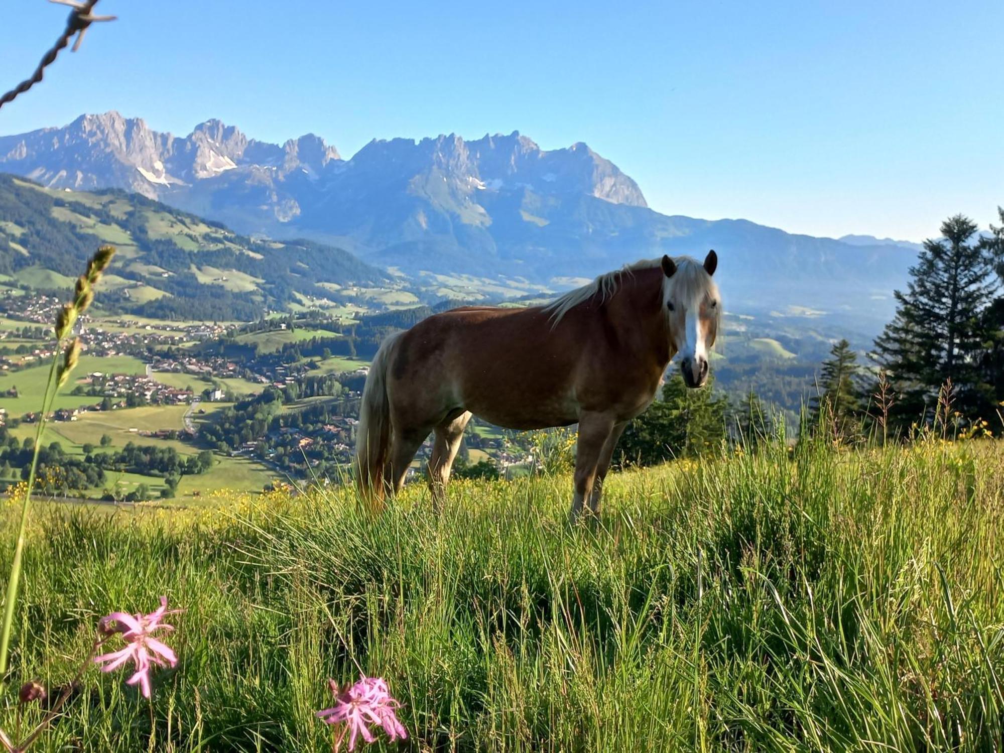 Hahnenkammblick Vila Kitzbühel Exterior foto