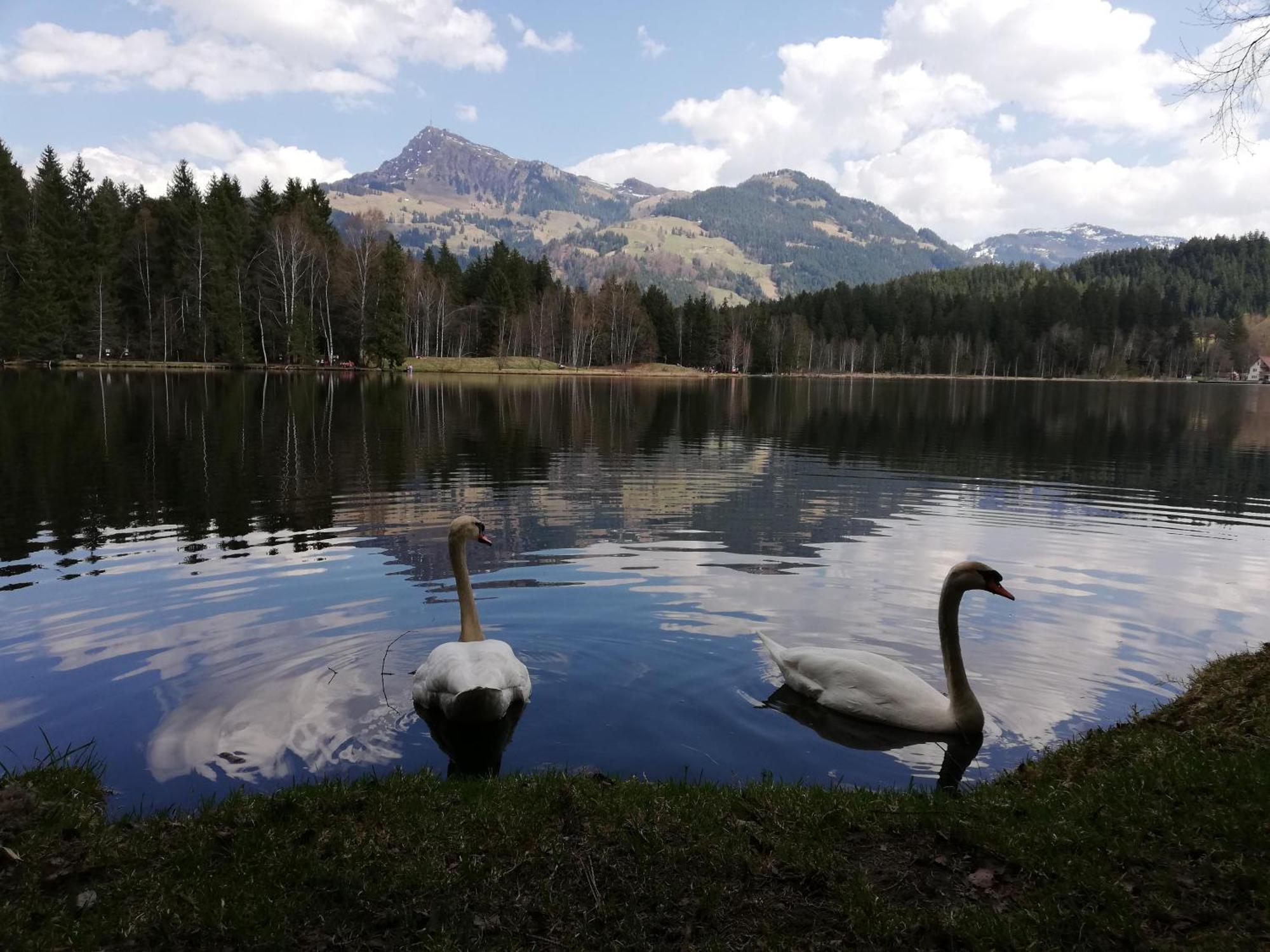 Hahnenkammblick Vila Kitzbühel Exterior foto
